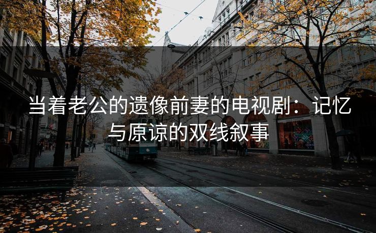 当着老公的遗像前妻的电视剧：记忆与原谅的双线叙事